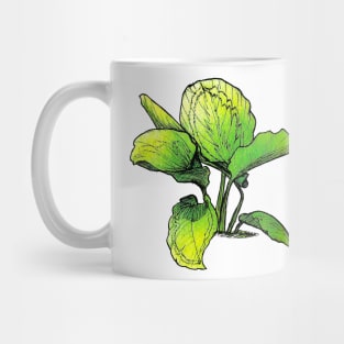 Calathea Mug